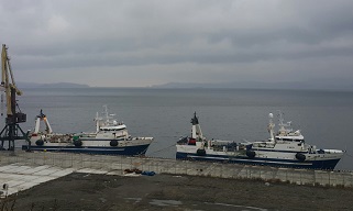 Коррупция в морском регистре: поможет ли новый свод правил?