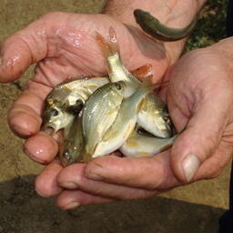 Торги: озера Зауралья ждут своих пользователей