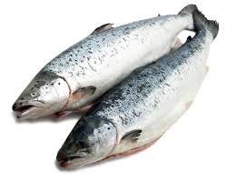 Казахстан сохраняет лидерство по импорту замороженной аквакультурной семги из Норвегии