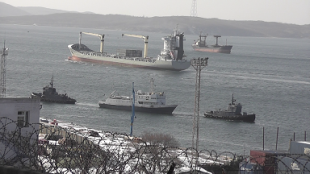 Уловы минтая, сельди и трески оперативно выгружаются в Приморье и отправляются в российские регионы