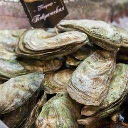 Торги: Участки под марикультуру в Азовском море разошлись по пользователям