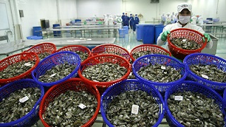 Экспорт рыбной продукции из Вьетнама резко упал из-за локдауна