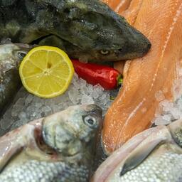 ВАРПЭ: Для развития поставок рыбопродукции в страны БРИКС важно тарифное равноправие