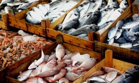 Изменения в критериях качества рыбной продукции Изменения в критериях качества рыбной продукции