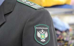 Россельхознадзор расширяет возможность онлайн-оформления ветеринарных сертификатов 