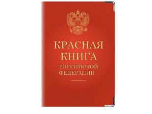 Новый законопроект: борьба с браконьерством и охрана краснокнижных видов
