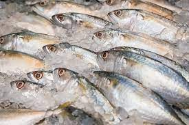 В Приморье грузооборот рыбных причалов Росрыболовства перешагнул отметку в 400 тысяч тонн