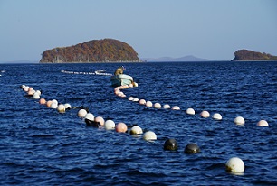 Приоритетность выделения рыбных квот для целей аквакультуры изменится