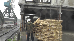 Успешная дальневосточная путина отразилась на выгрузках рыбы в Приморье