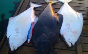 Норвегия в сентябре поставила в Узбекистан первую в этом году партию свежего аквакультурного палтуса